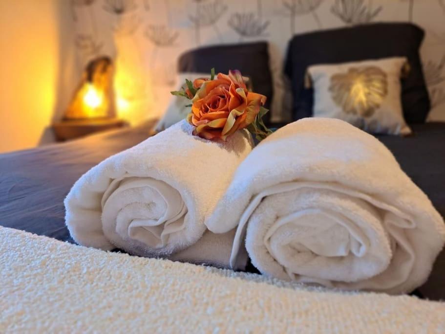 Gite Spa "La Foret Argentee" Proche Gerardmer Laveline-du-Houx Ngoại thất bức ảnh